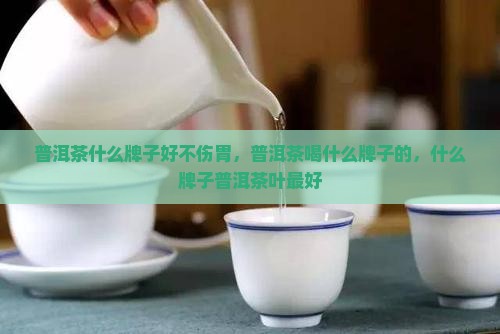 普洱茶什么牌子好不伤胃