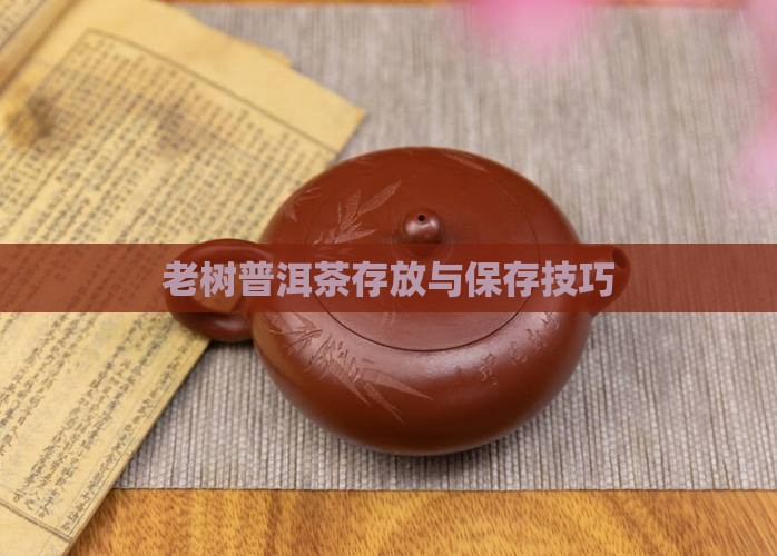 老树普洱茶存放