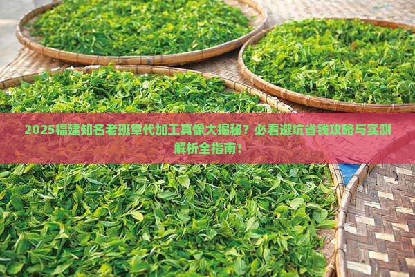 福建知名老班章代加工