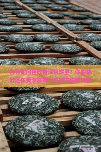 古代如何存放普洱茶饼里