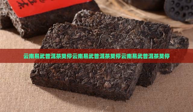 云南易武普洱茶莫停