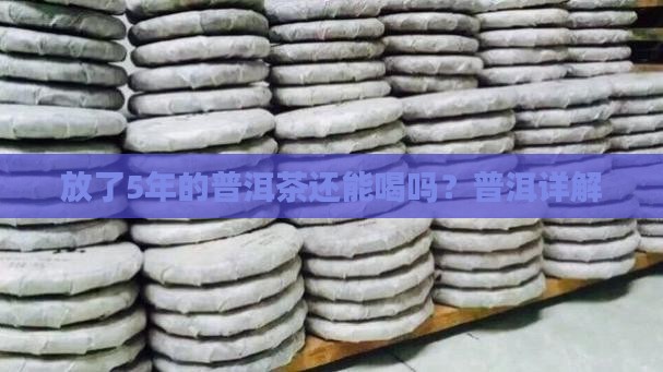 放了5年的普洱茶怎么样