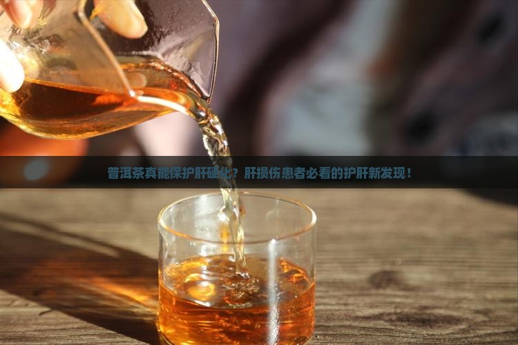 普洱茶能保护肝硬化