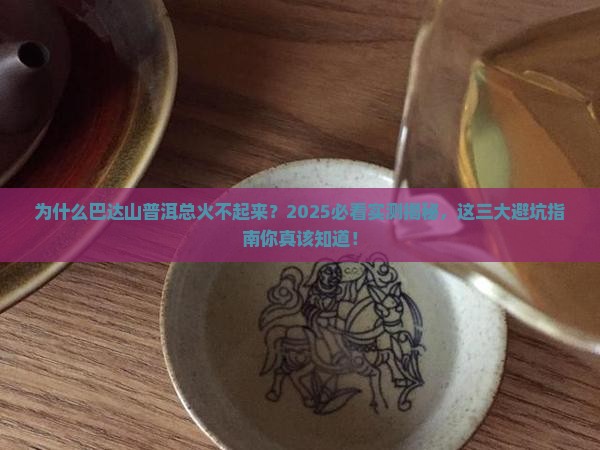为什么巴达山普洱炒不起来