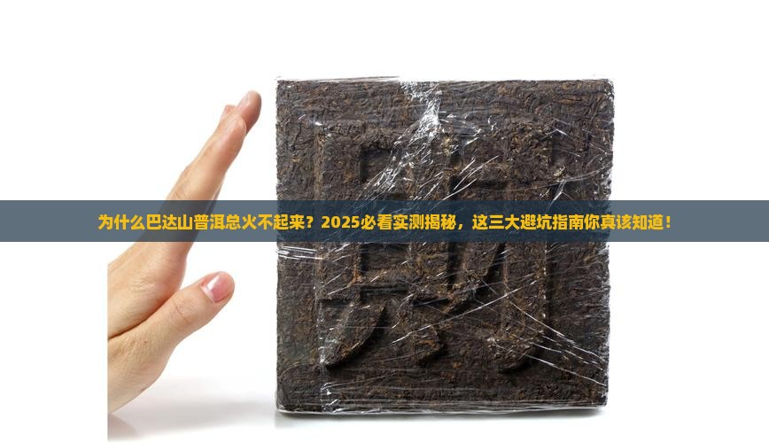 为什么巴达山普洱炒不起来