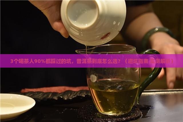 普洱茶深度讲解