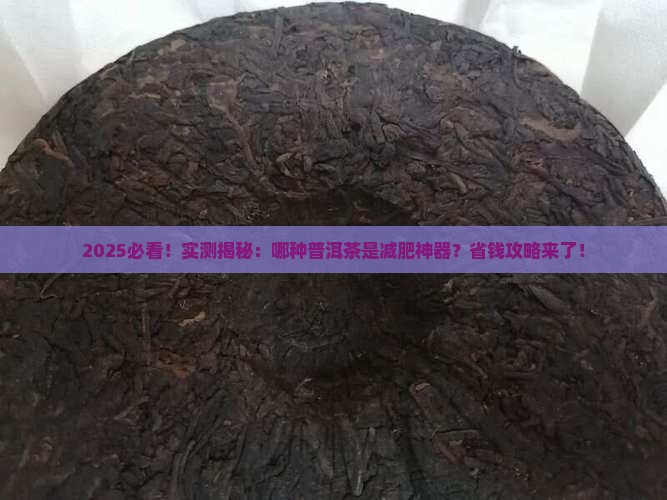 哪个普洱茶可以减肥