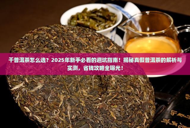 干普洱茶的选择标准