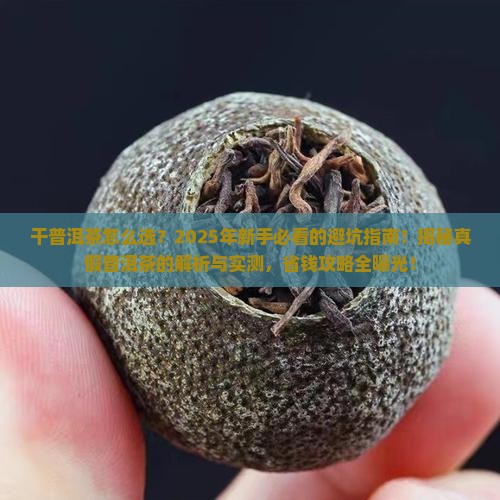 干普洱茶的选择标准