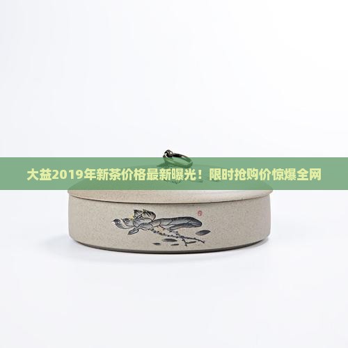 大益2019年新茶价格