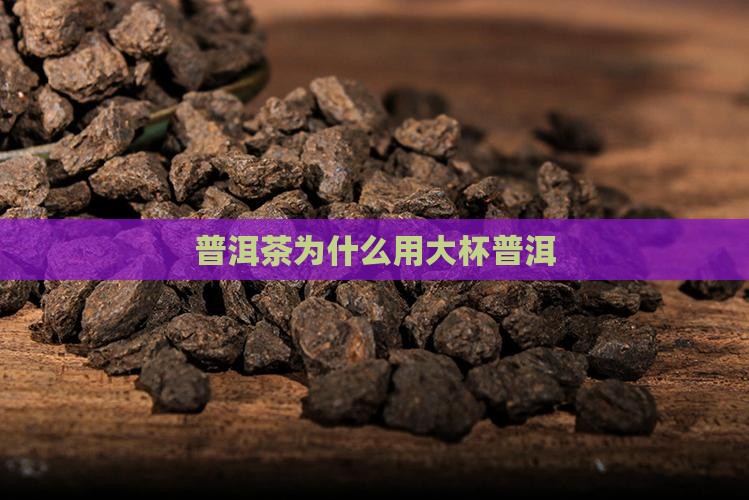 普洱茶为什么用大杯