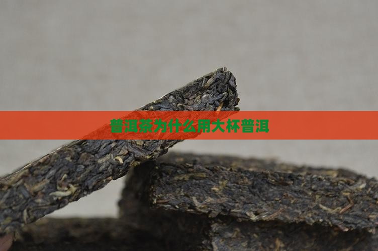 普洱茶为什么用大杯