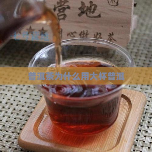 普洱茶为什么用大杯