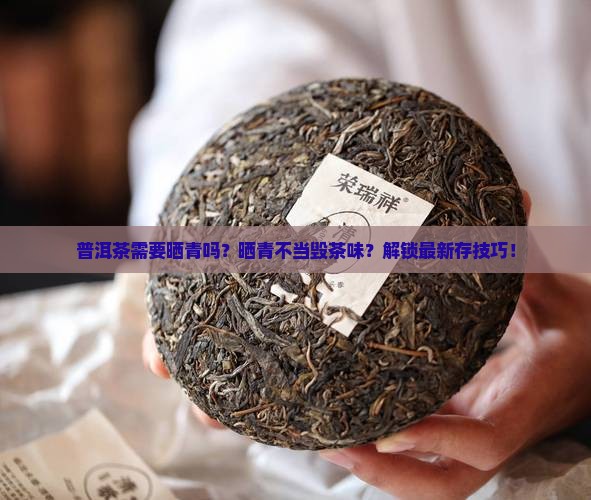 普洱茶需要晒青吗