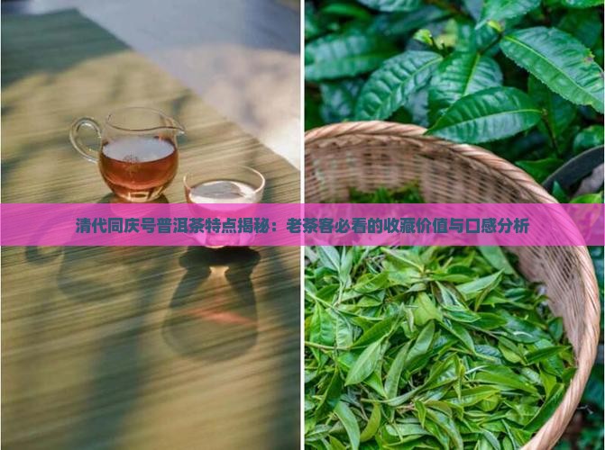 清代同庆号普洱茶特点