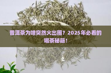 近些年这么火的普洱茶是什么茶