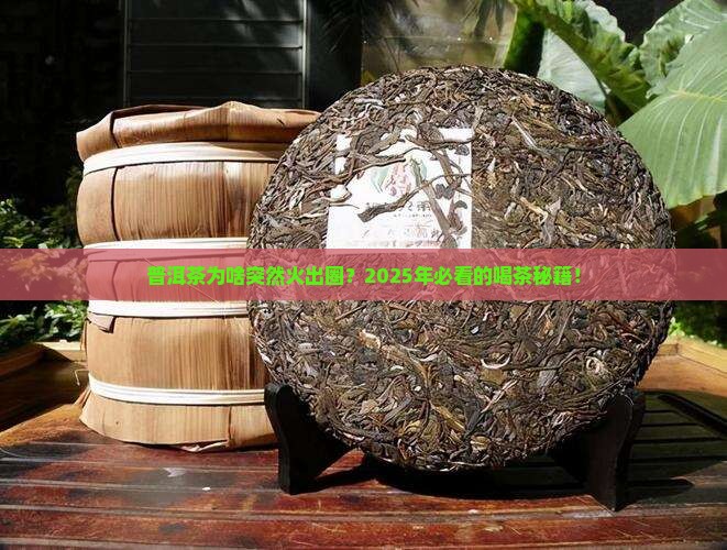 近些年这么火的普洱茶是什么茶