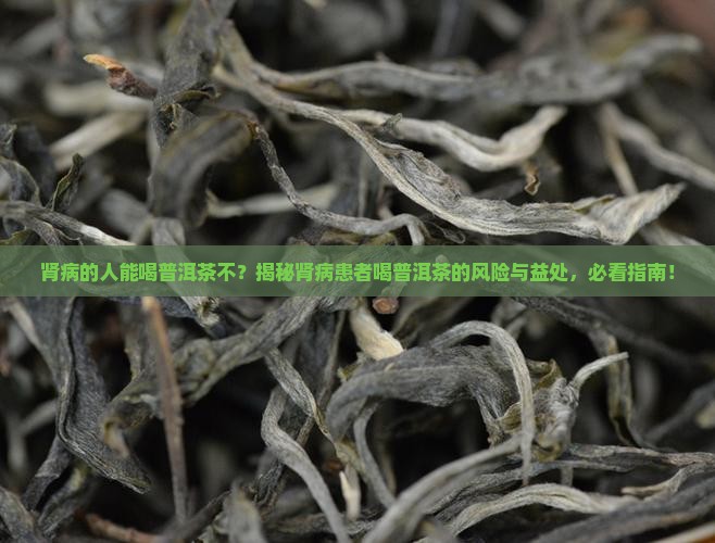 肾病的人能喝普洱茶不