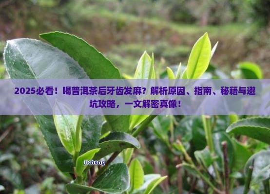 喝普洱茶后牙齿发麻