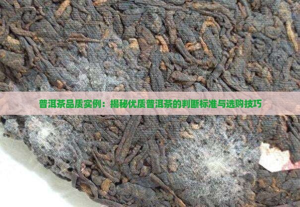 普洱茶品质实例
