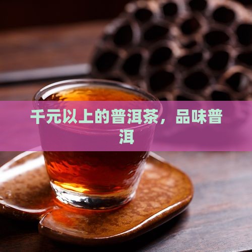 2千元以上的普洱茶