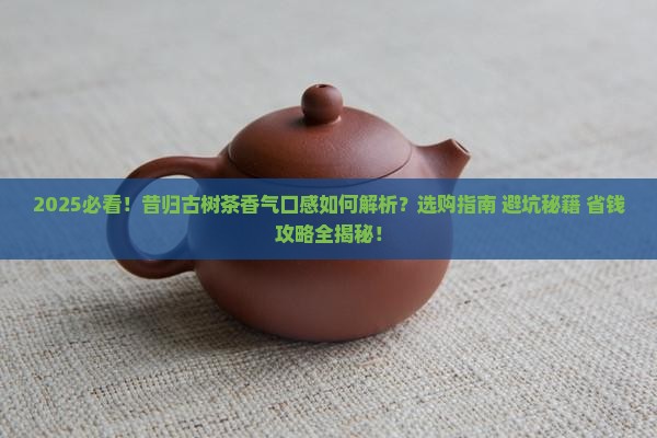 昔归古树茶香气口感