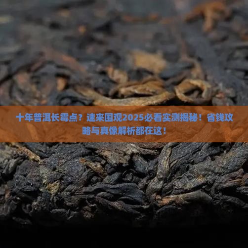 十年的普洱茶长霉点