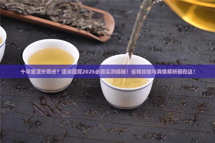 十年的普洱茶长霉点