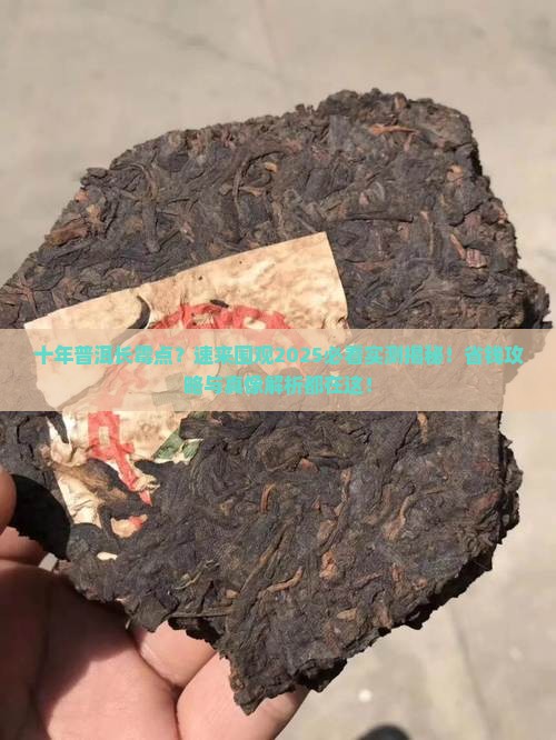 十年的普洱茶长霉点