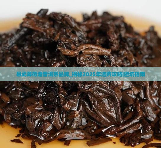 易武薄荷塘普洱茶品牌