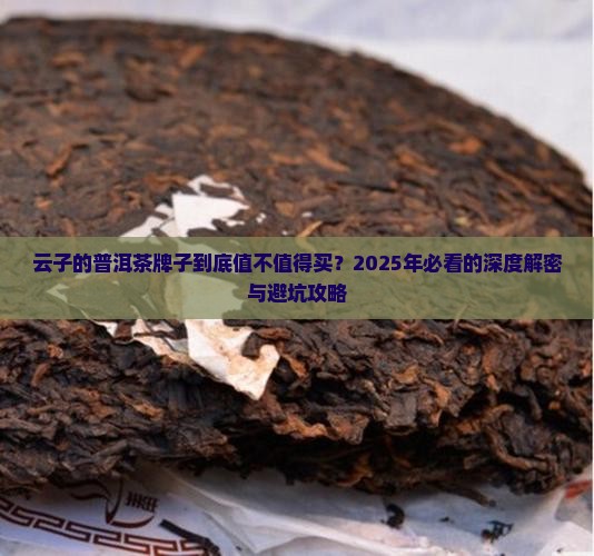 云子的普洱茶牌子