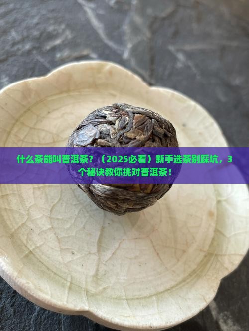 什么茶可以称为普洱茶