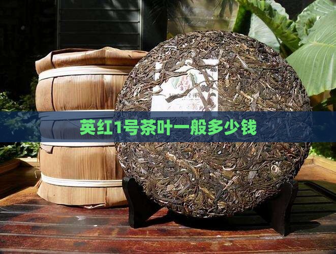 英红1号茶叶一般多少钱