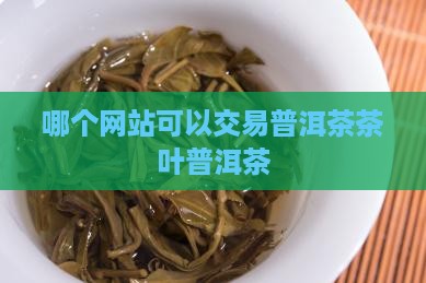 哪个网上可以买茶普洱茶