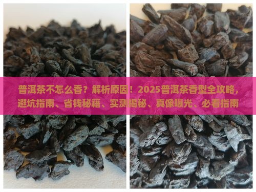 普洱茶不怎么香的原因有哪些