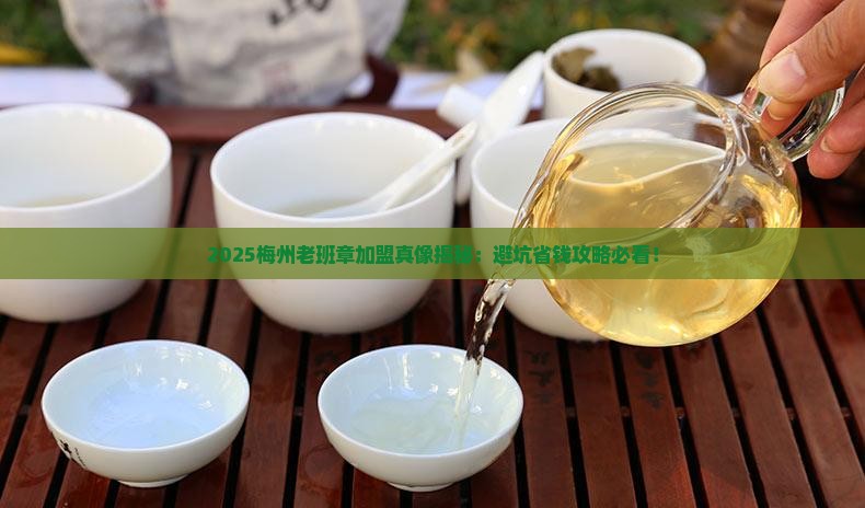 梅州老班章招商加盟