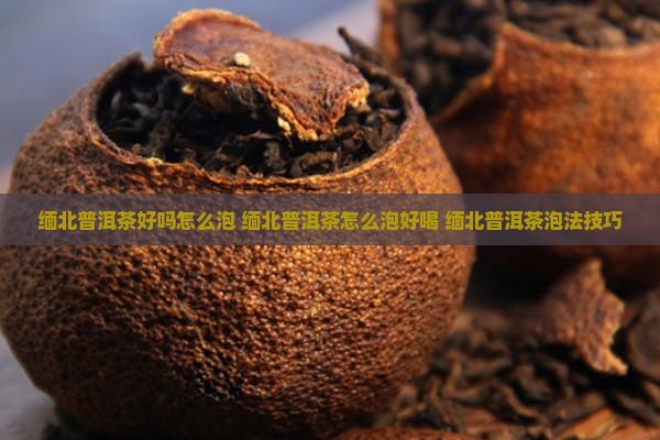缅北普洱茶好吗怎么泡