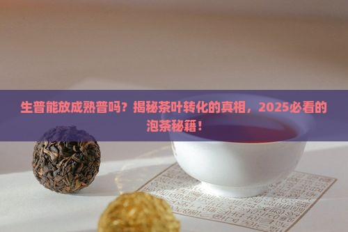 生普能放成熟普吗