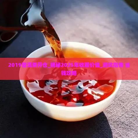 2019普洱茶开仓