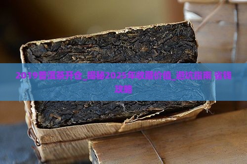 2019普洱茶开仓