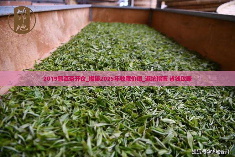 2019普洱茶开仓