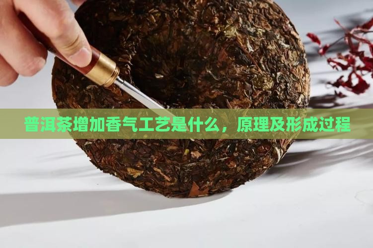 普洱茶增加香气工艺是什么