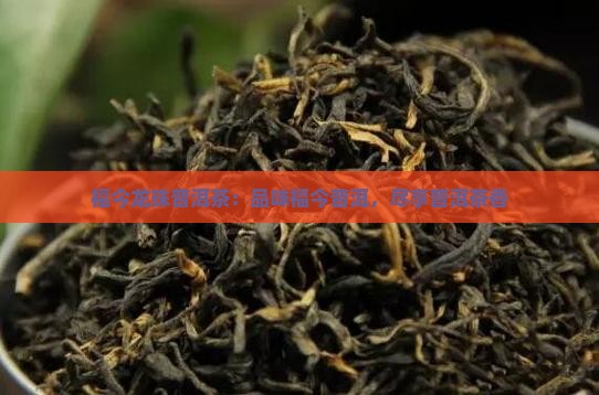 福今龙珠普洱茶
