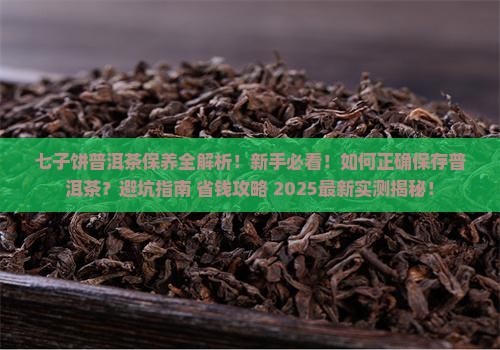 七子饼普洱茶保养