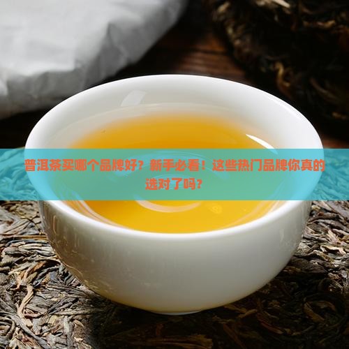 普洱茶买那个品牌