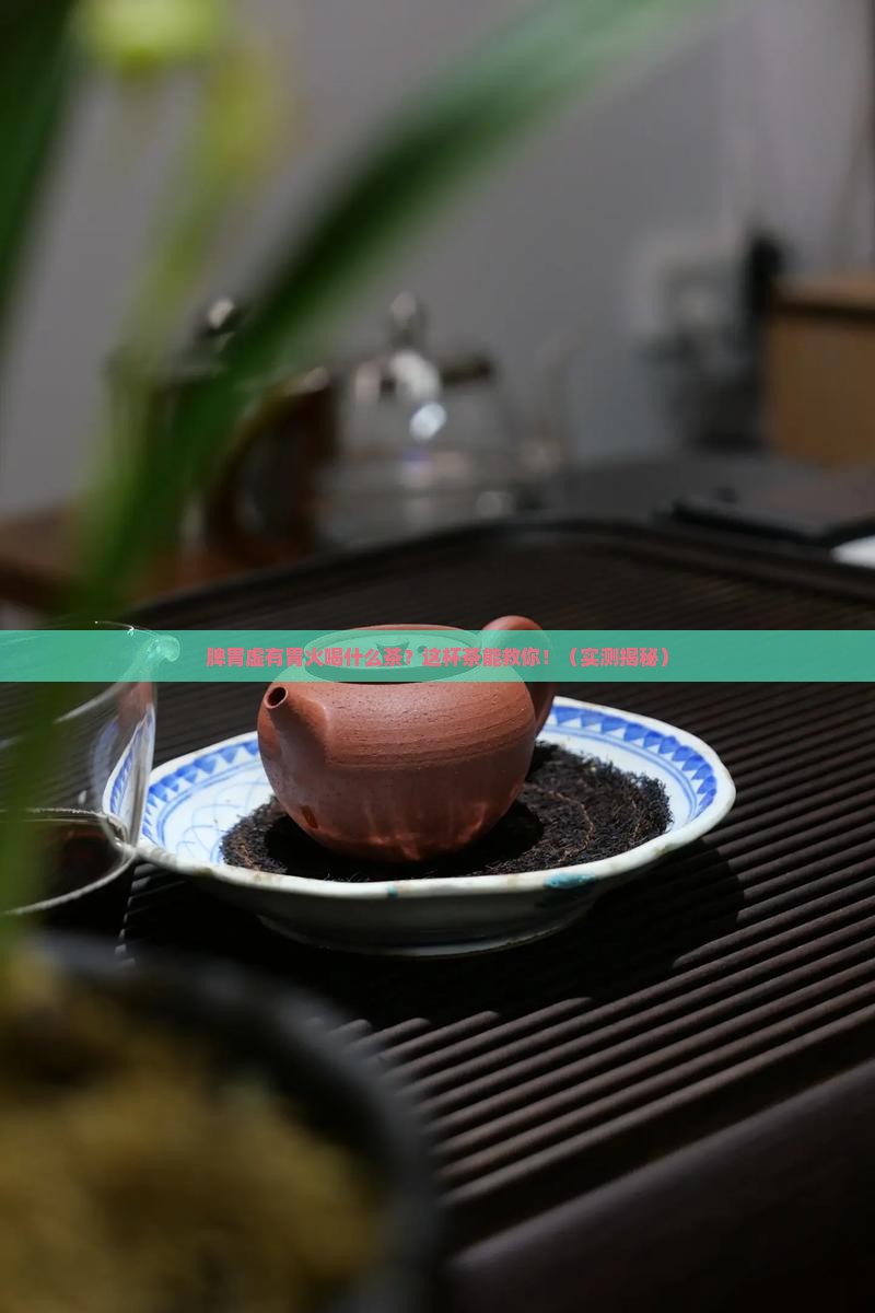 脾胃虚有胃火喝什么茶
