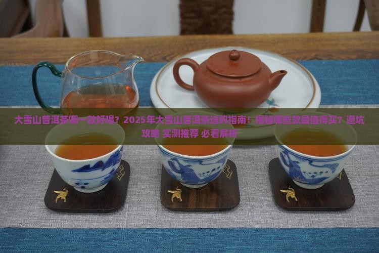 大雪山普洱茶哪一款好喝