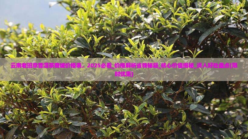 云南老班章普洱茶商城价格表
