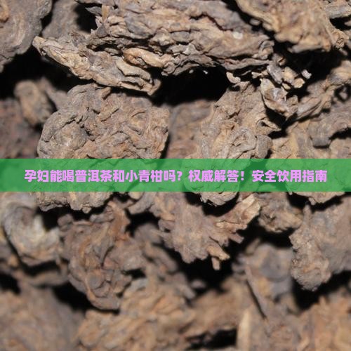 孕妇能喝普洱茶和小青柑吗