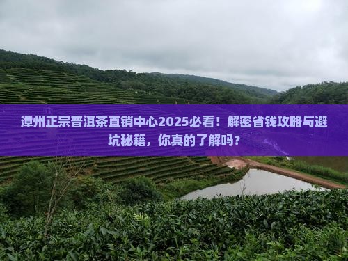 漳州正宗普洱茶直销中心